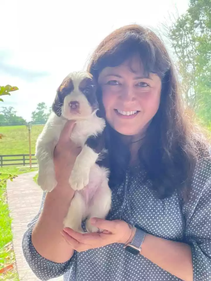 Strawberry Kennels Puppies