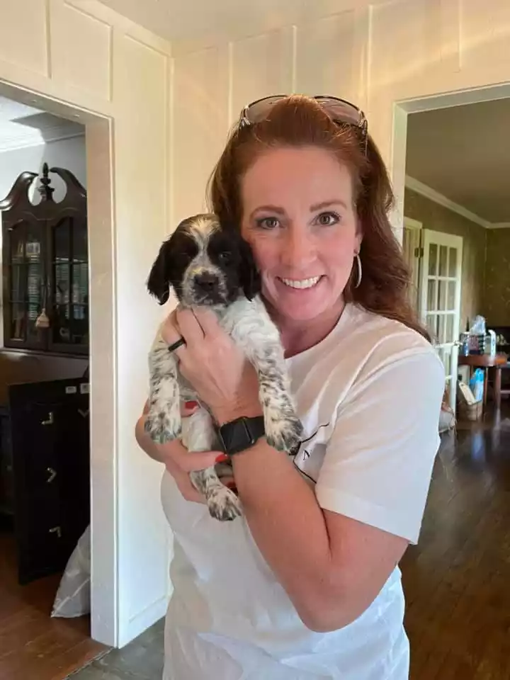 Strawberry Kennels Puppies